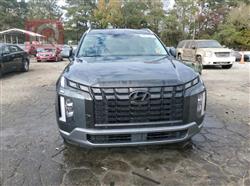 هيونداي باليسيد